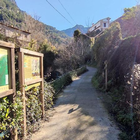 Alojamientos Puerta Del Parque Cazorla Quarto foto